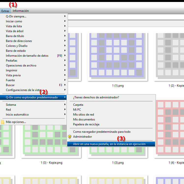 Cómo abrir carpetas de MS File Explorer en una nueva pestaña al ejecutar la instancia Q Dir
